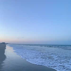 Meet your Posher, Priscilla